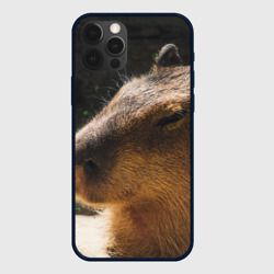 Чехол для iPhone 12 Pro Капибара спит