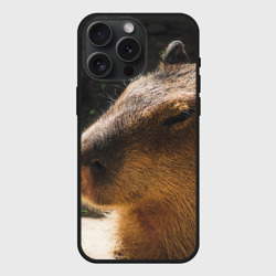 Чехол силиконовый для Apple iPhone 15 Pro Мax матовый Капибара спит