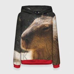 Женская толстовка 3D Капибара спит