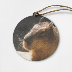 Деревянная игрушка круг Капибара спит