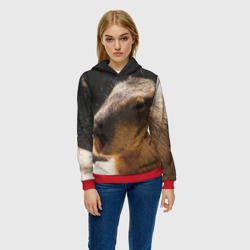 Женская толстовка 3D Капибара спит - фото 2