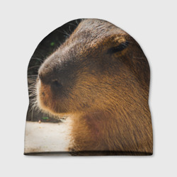 Шапка 3D Капибара спит