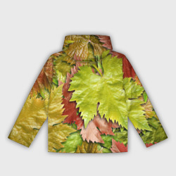 Ветровка с принтом Осенние листья клёна — паттерн для женщины, вид сзади №1. Цвет основы: белый
