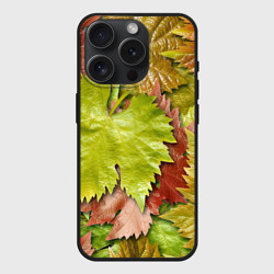 Чехол силиконовый для Apple iPhone 15 Pro матовый Осенние листья клёна - паттерн