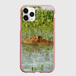 Чехол для iPhone 11 Pro Max матовый Капибара плывёт