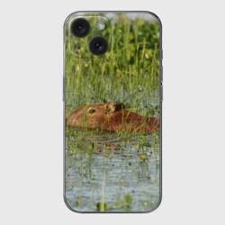 Чехол для iPhone 15 силиконовый с защитой камеры Капибара плывёт