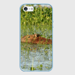 Чехол для iPhone 5/5S матовый Капибара плывёт