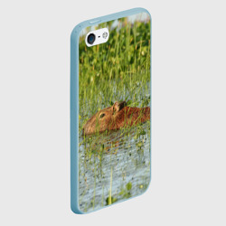 Чехол для iPhone 5/5S матовый Капибара плывёт - фото 2