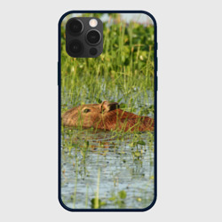 Чехол для iPhone 12 Pro Капибара плывёт