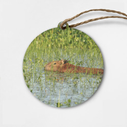 Деревянная игрушка круг Капибара плывёт