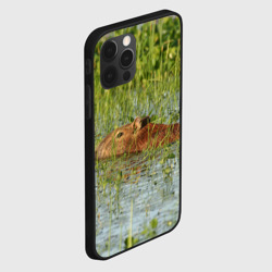 Чехол для iPhone 12 Pro Капибара плывёт - фото 2