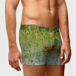 Мужские трусы 3D Капибара плывёт - фото 2