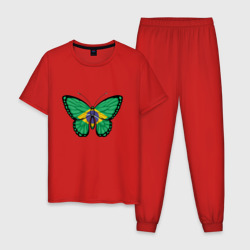 Мужская пижама хлопок Бабочка - Бразилия
