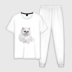 Мужская пижама хлопок Белый персидский кот