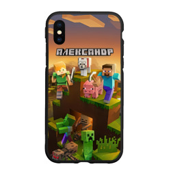 Чехол для iPhone XS Max матовый Александр Minecraft