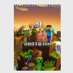 Скетчбук Анатолий Minecraft