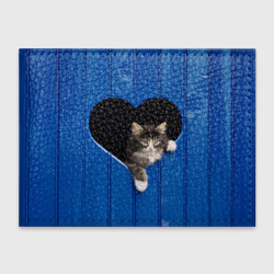 Обложка для студенческого билета Котёнок в дырке в заборе в виде сердца