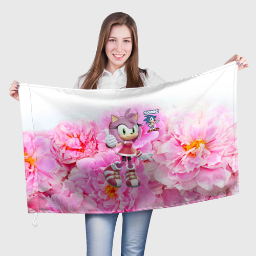 Флаг 3D Sonic - Amy Rose - Video game