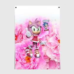 Постер Sonic - Amy Rose - Video game