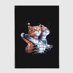 Постер Котаник