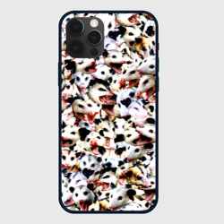 Чехол для iPhone 12 Pro Опоссумы