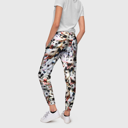 Женские брюки 3D Опоссумы, цвет 3D печать - фото 4