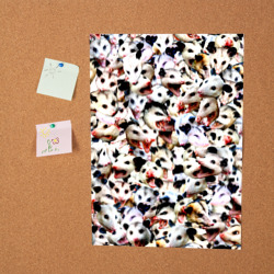 Постер Опоссумы - фото 2