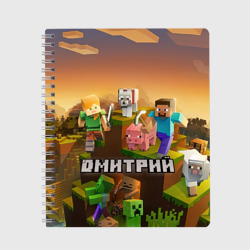 Тетрадь Дмитрий Minecraft