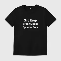 Мужская футболка хлопок Егор умный будь как Егор