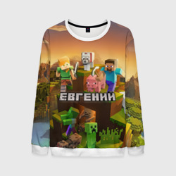 Мужской свитшот 3D Евгений Minecraft