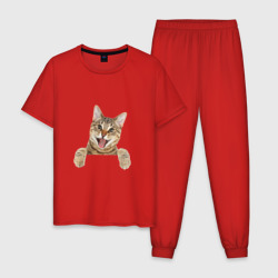 Мужская пижама хлопок Домашний коричневый котёнок