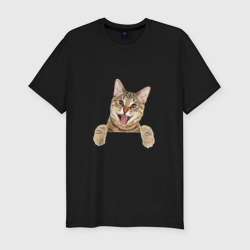 Мужская футболка хлопок Slim Домашний коричневый котёнок
