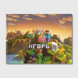 Альбом для рисования Игорь Minecraft