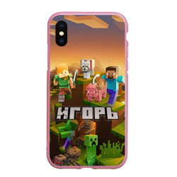 Чехол для iPhone XS Max матовый Игорь Minecraft