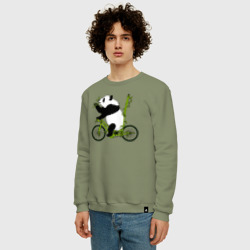Мужской свитшот хлопок Панда на велосипеде с бамбуком - фото 2