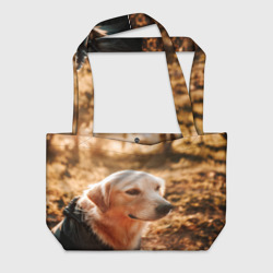 Пляжная сумка 3D Красивая собака на фотосессии