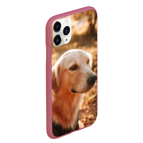 Чехол для iPhone 11 Pro Max матовый с принтом Красивая собака на фотосессии, вид сбоку #3