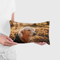 Подушка 3D антистресс Красивая собака на фотосессии - фото 2