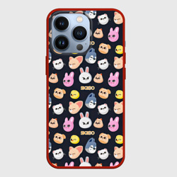 Чехол для iPhone 13 Pro Skzoo pattern