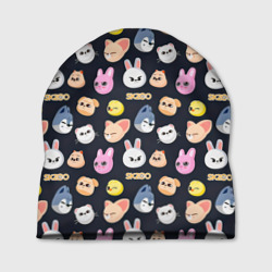 Шапка 3D Skzoo pattern