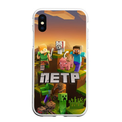 Чехол для iPhone XS Max матовый Петр Minecraft