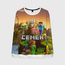 Мужской свитшот 3D Семен Minecraft