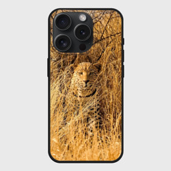Чехол силиконовый для Apple iPhone 15 Pro матовый Леопард замаскировался в сухой траве