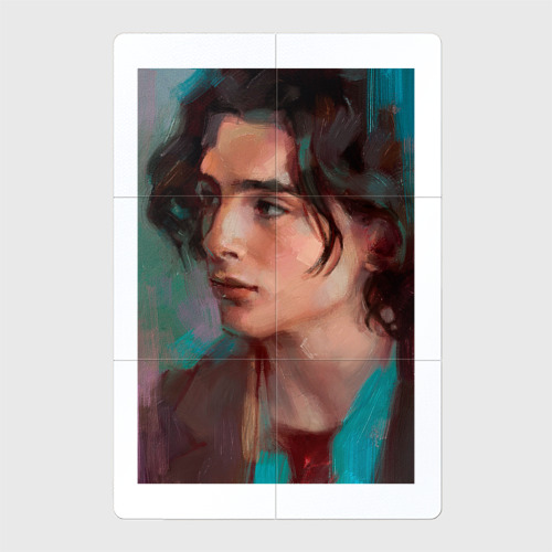 Магнитный плакат 2Х3 Timothee Chalamet fan art