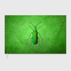 Флаг 3D Lytta vesicatoria - тип 2