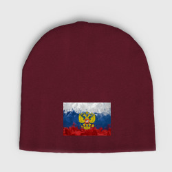 Детская шапка демисезонная Герб России и триколор - рисунок