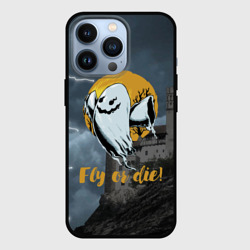 Чехол для iPhone 13 Pro Fly or die - castle