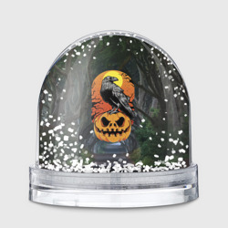 Игрушка Снежный шар Ворон, сидящий на тыкве - Halloween