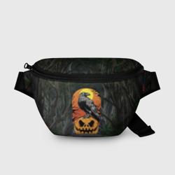 Поясная сумка 3D Ворон, сидящий на тыкве - Halloween