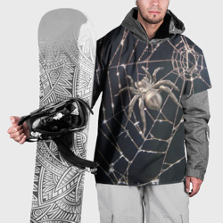 Накидка на куртку 3D Блестящий паук в паутине